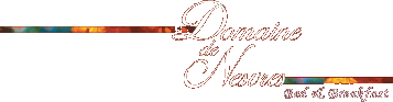 Domaine de Nesvres - Bed & Breakfast